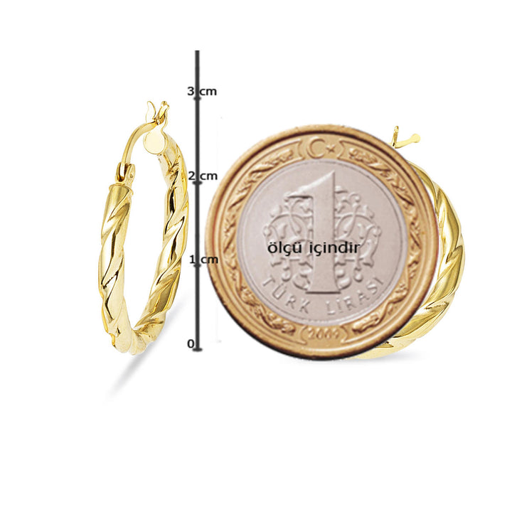 Burgu Halka 2,5 cm Çaplı Altın Küpe