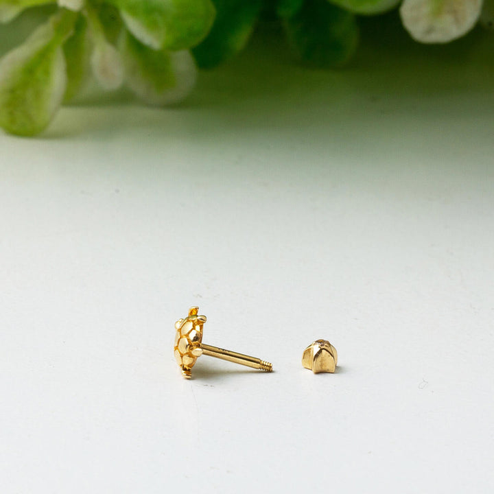14 Ayar Altın Kaplumbağa Tragus Küpe